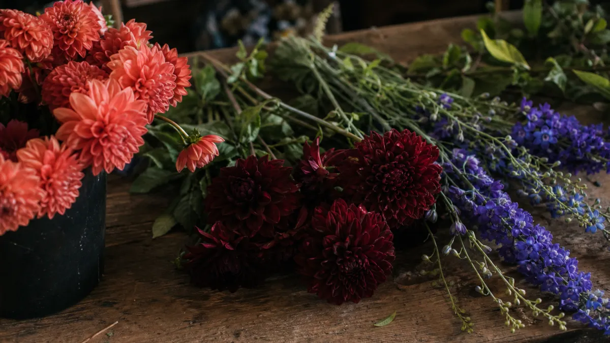 Fleurs qui commencent par la lettre D : la liste complète