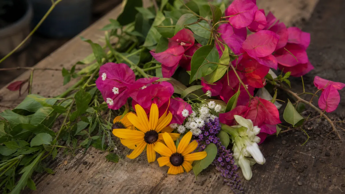 Fleurs qui commencent par la lettre B : liste et variétés